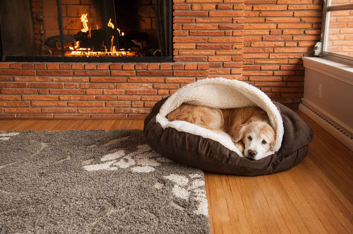 How to Create a Cozy Pet Space at home