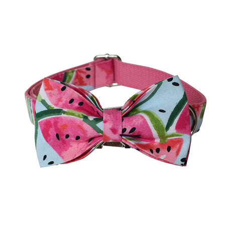 Dog Collar and Leash Set